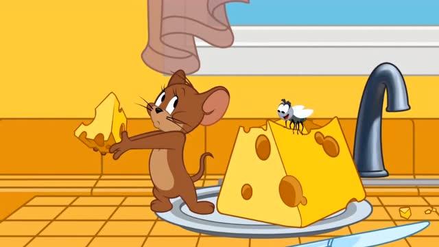 老鼠吃蛋糕游戏攻略（老鼠吃蛋糕和猫的故事）