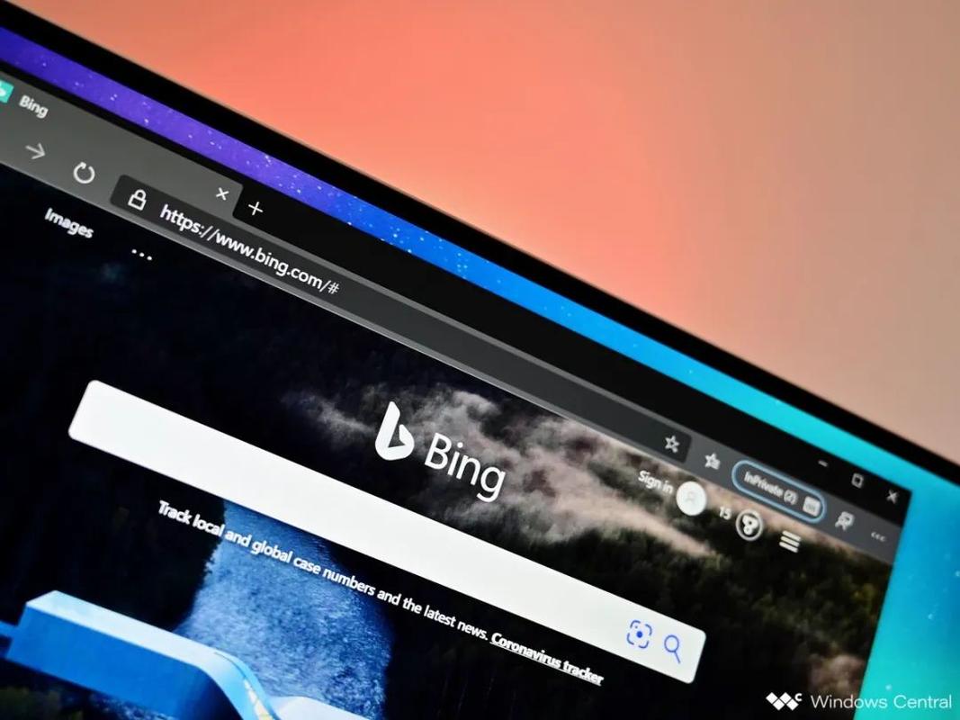bingo电脑app（bing desktop）